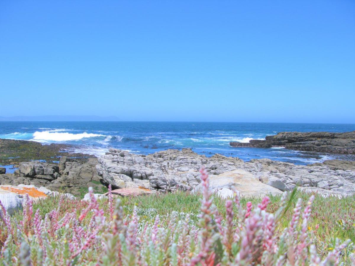 Beachfront Cottage - Hermanus Whale View Exterior photo