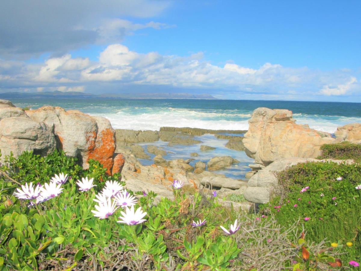 Beachfront Cottage - Hermanus Whale View Exterior photo