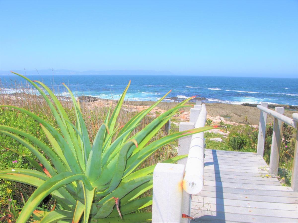 Beachfront Cottage - Hermanus Whale View Exterior photo