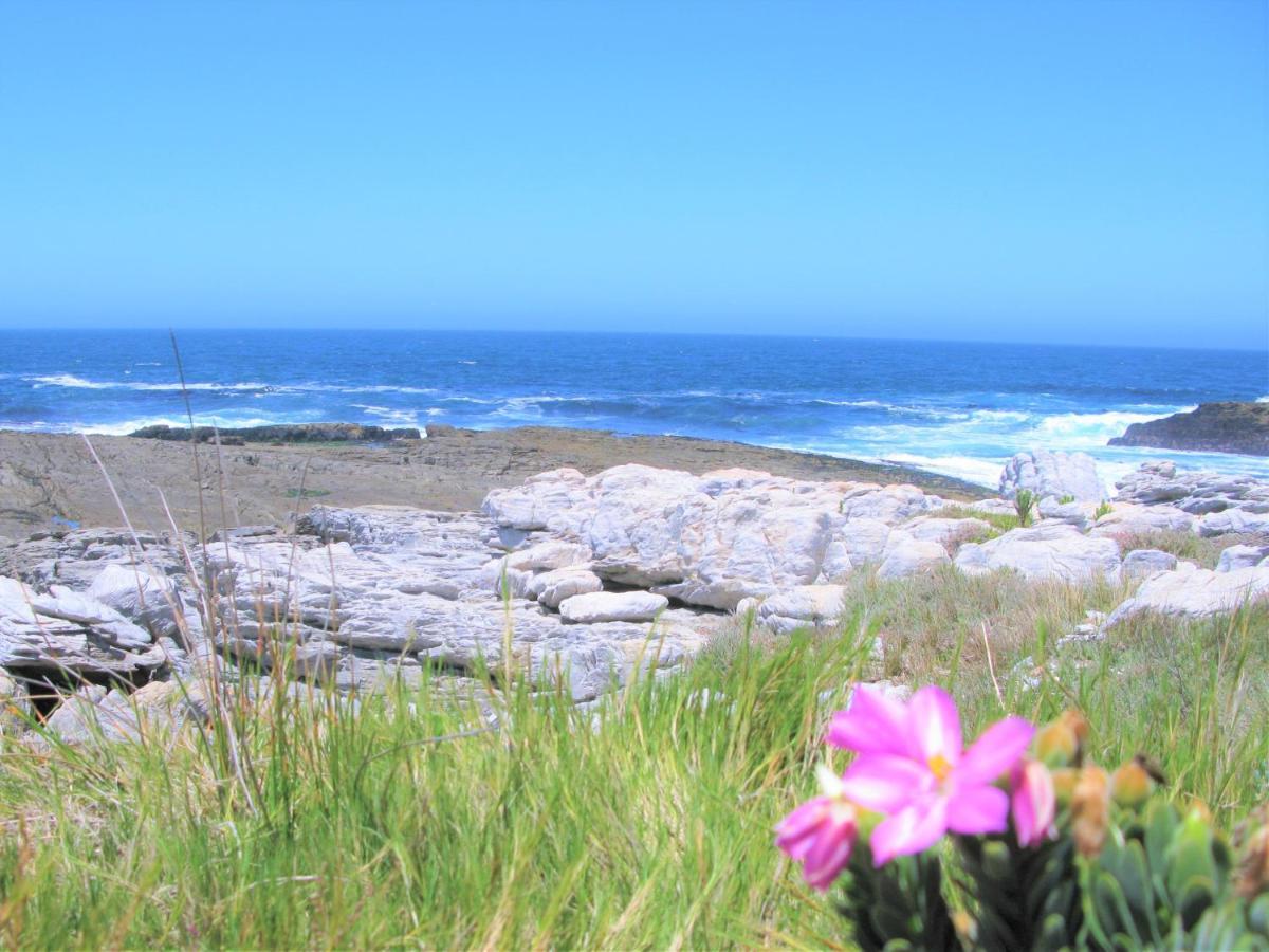 Beachfront Cottage - Hermanus Whale View Exterior photo