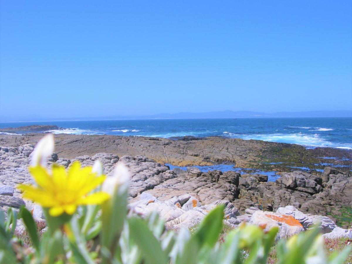 Beachfront Cottage - Hermanus Whale View Exterior photo